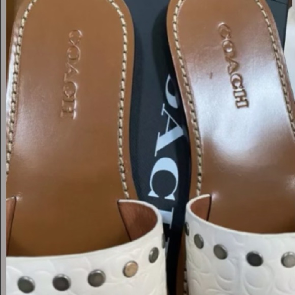 Brand new Coach slides